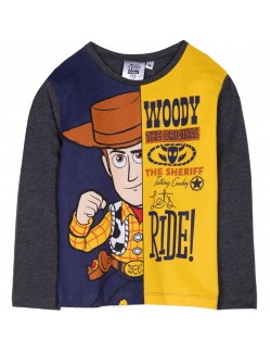 Bluza Toy story 4, gri inchis, copii 3-8 ani